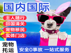 三明沙县航空快运国际宠物托运 【国